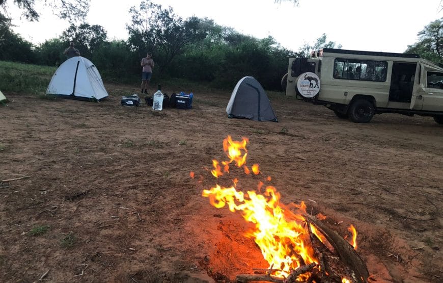 Nairobi & Laikipia: The Ultimate City & Safari Escape