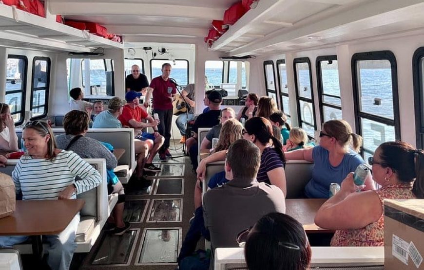 Solar-Powered Harbour Morning Cruise