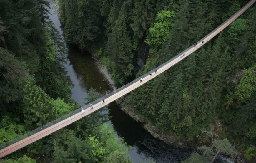 Private Vancouver City Tour with Stanley Park, Grouse Mountain & Capilano Suspension Bridge