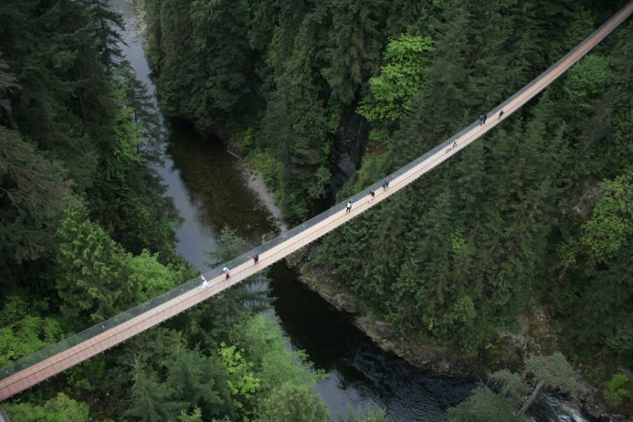Private Vancouver City Tour with Stanley Park, Grouse Mountain & Capilano Suspension Bridge