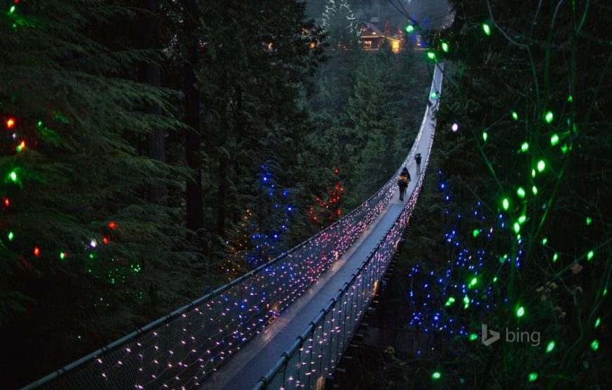 Private Vancouver City Tour with Stanley Park, Grouse Mountain & Capilano Suspension Bridge